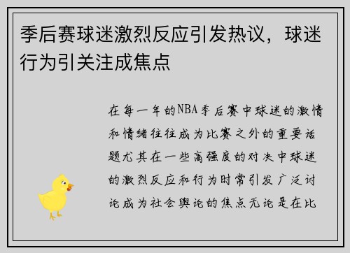 季后赛球迷激烈反应引发热议，球迷行为引关注成焦点