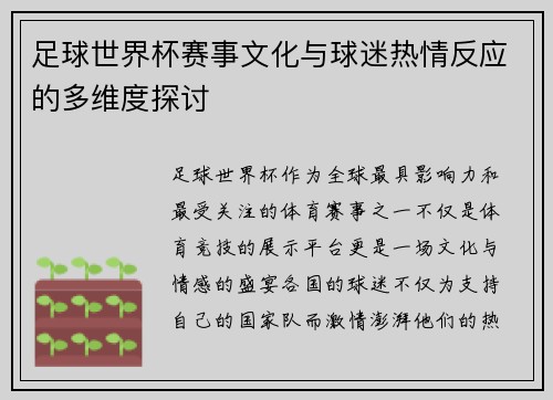 足球世界杯赛事文化与球迷热情反应的多维度探讨